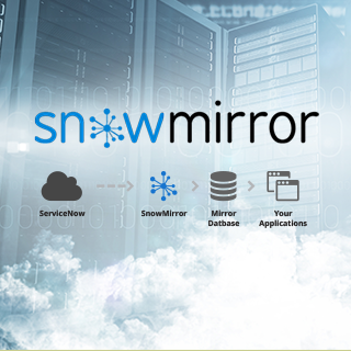 Snowmirror